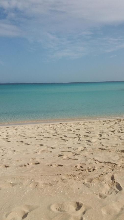 Il Peperoncino Leilighet San Vito Lo Capo Eksteriør bilde